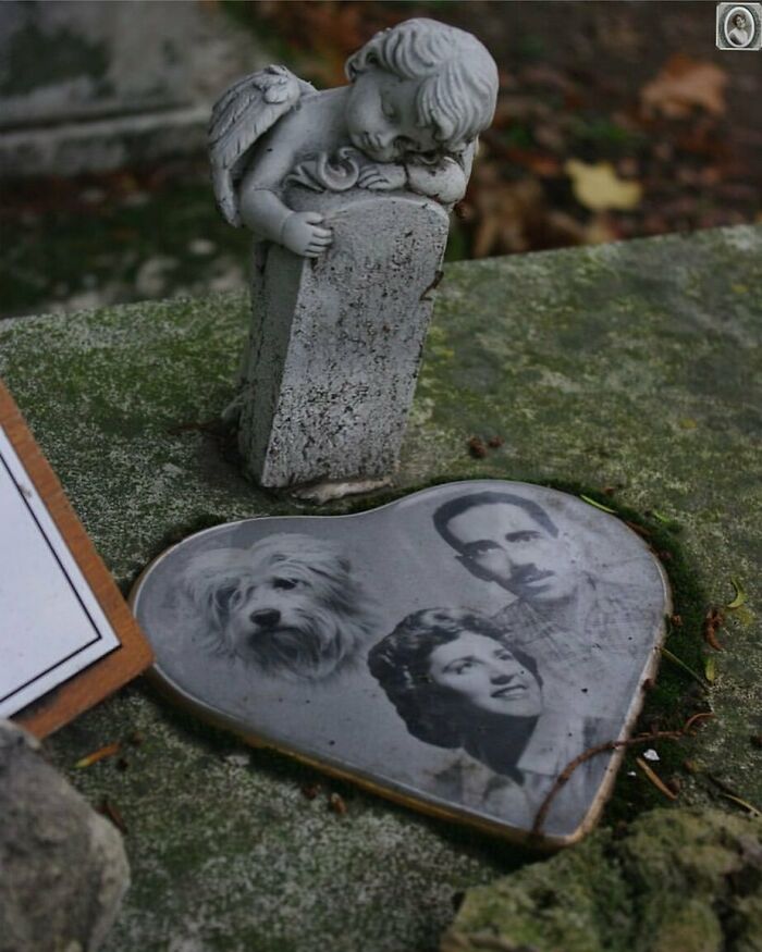 50 Portraits On Tombstones That Tell Stories Of Lives Once Lived