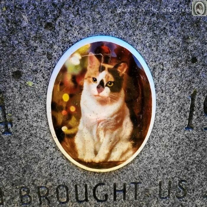 50 Portraits On Tombstones That Tell Stories Of Lives Once Lived