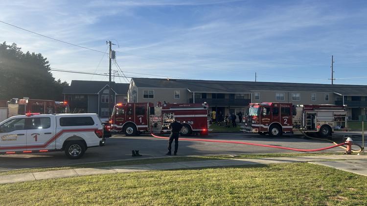 Decatur apartment fire displaces three; cause ruled accidental