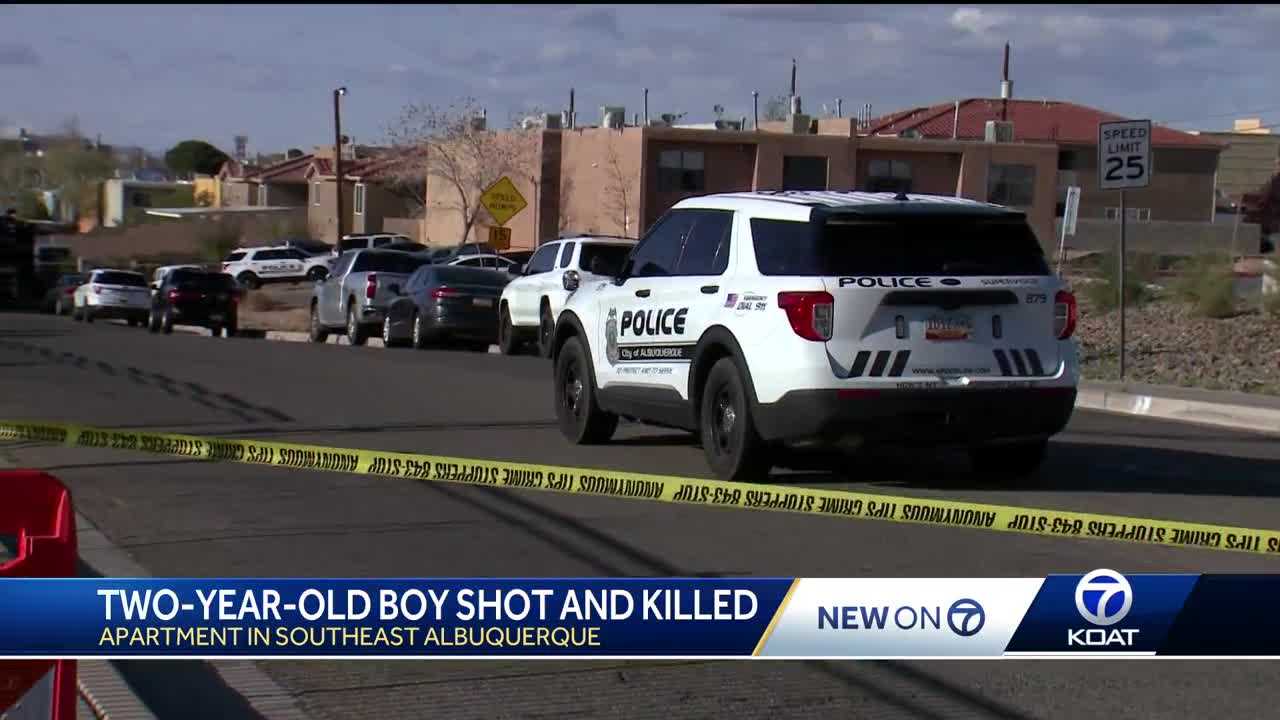 Albuquerque mother pleads guilty in child shooting death