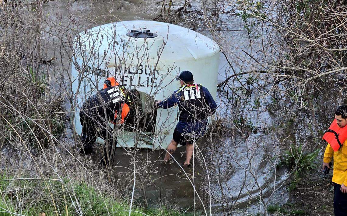 Unusual water rescue. 