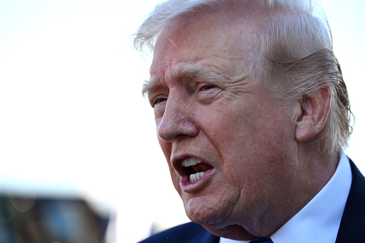 Trump caves on DHS funding over Republican pressure on airport chaos<br>