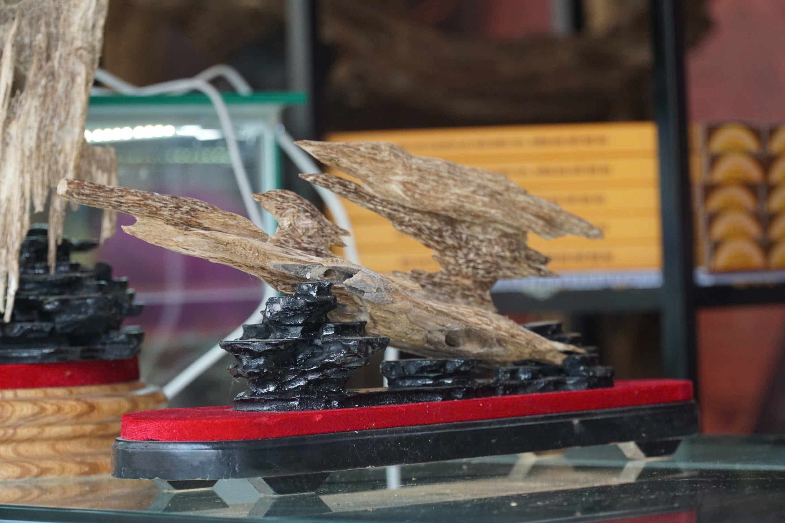 Lừa đảo bán kỳ nam, nhóm người lên kế hoạch tinh vi