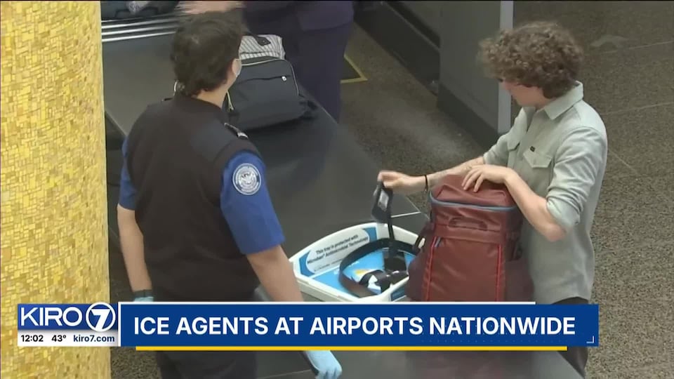 Video: ICE agents at airports nationwide