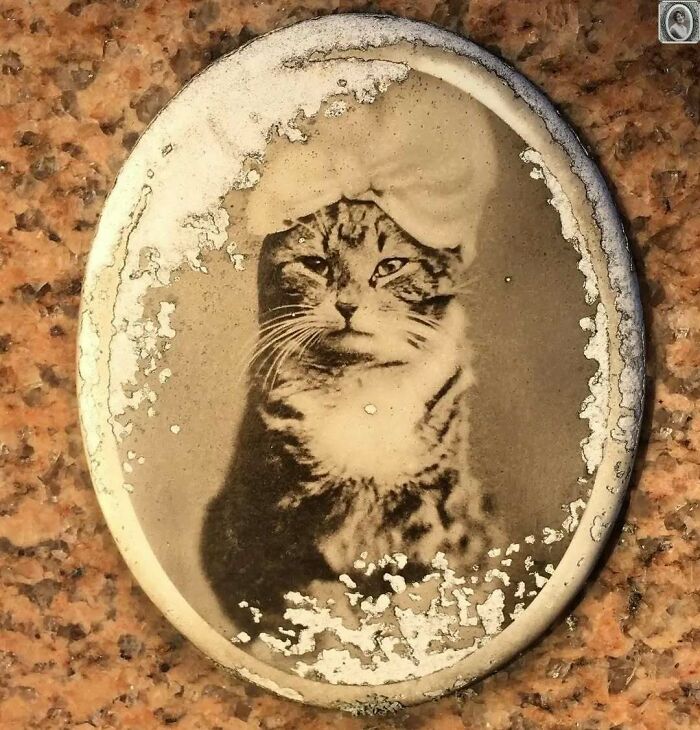50 Portraits On Tombstones That Tell Stories Of Lives Once Lived