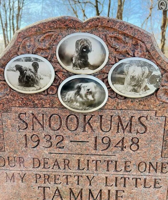 50 Portraits On Tombstones That Tell Stories Of Lives Once Lived