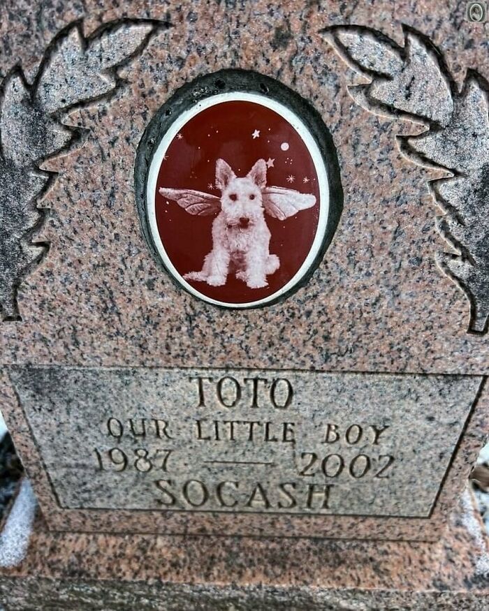 50 Portraits On Tombstones That Tell Stories Of Lives Once Lived