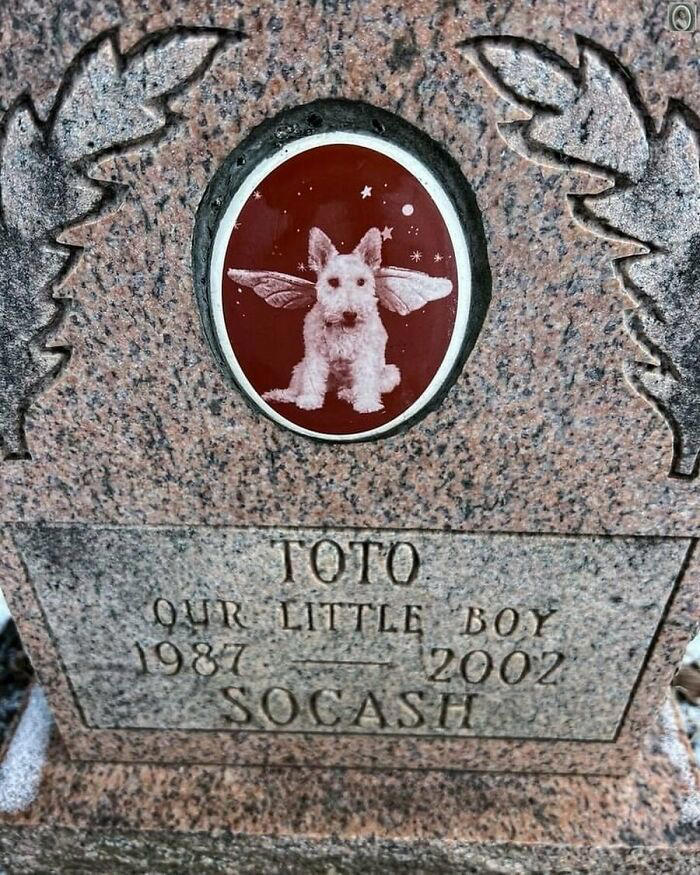 50 portraits on tombstones that tell stories of lives once lived