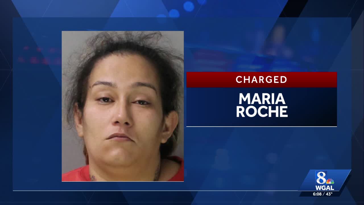 Harrisburg woman accused of beating children with belt, threatening ...