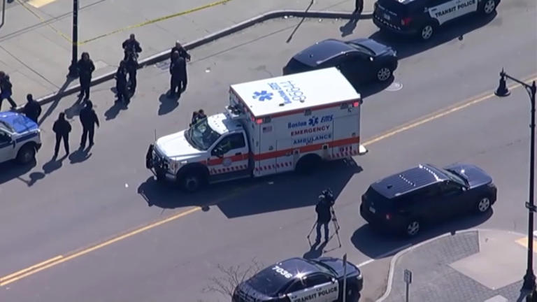 Man held without bail after struggle with police at Forest Hills MBTA ...