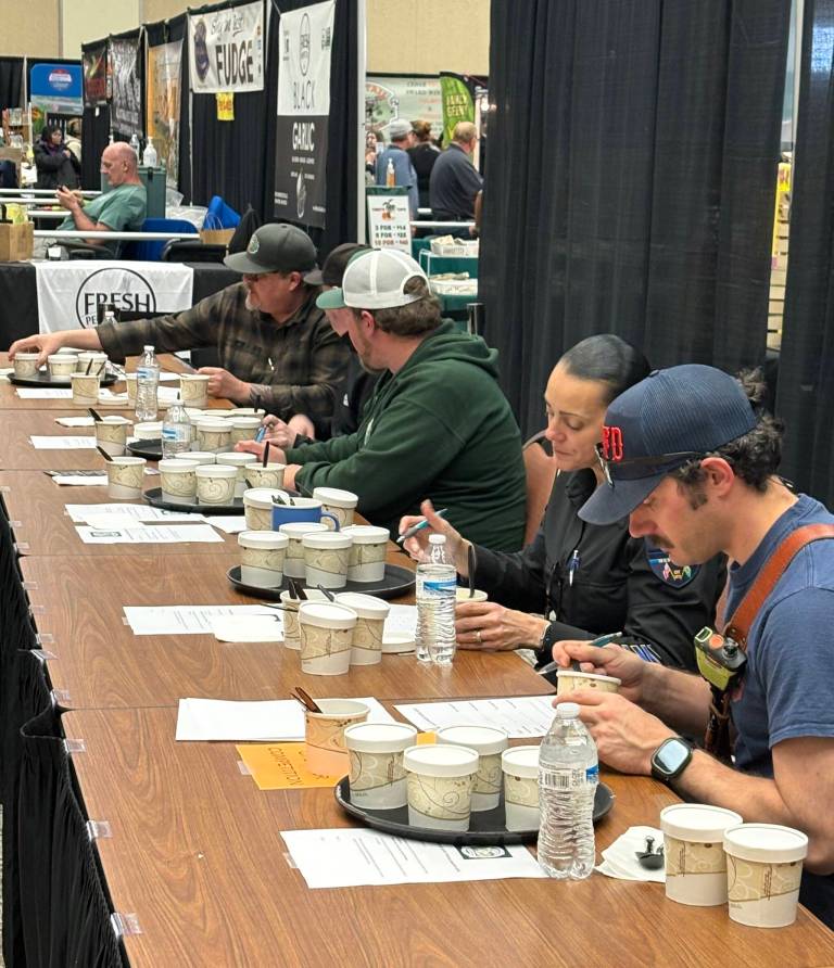 18th annual Razor Clam and Seafood Festival draws crowds