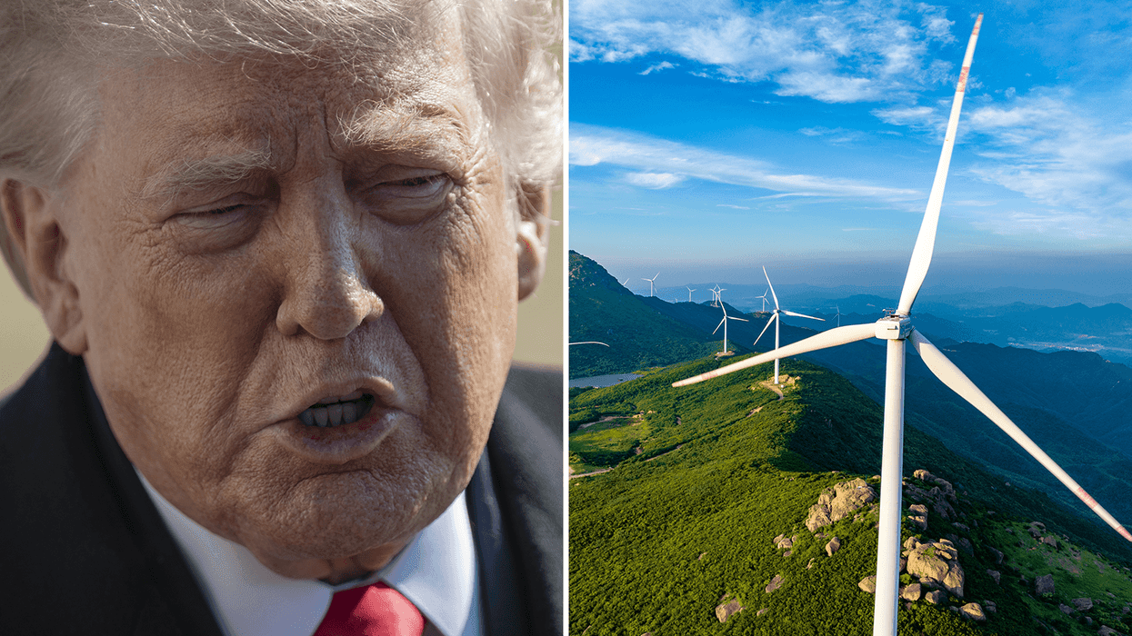 Trump pays French company $1 billion to cut wind energy just in time ...