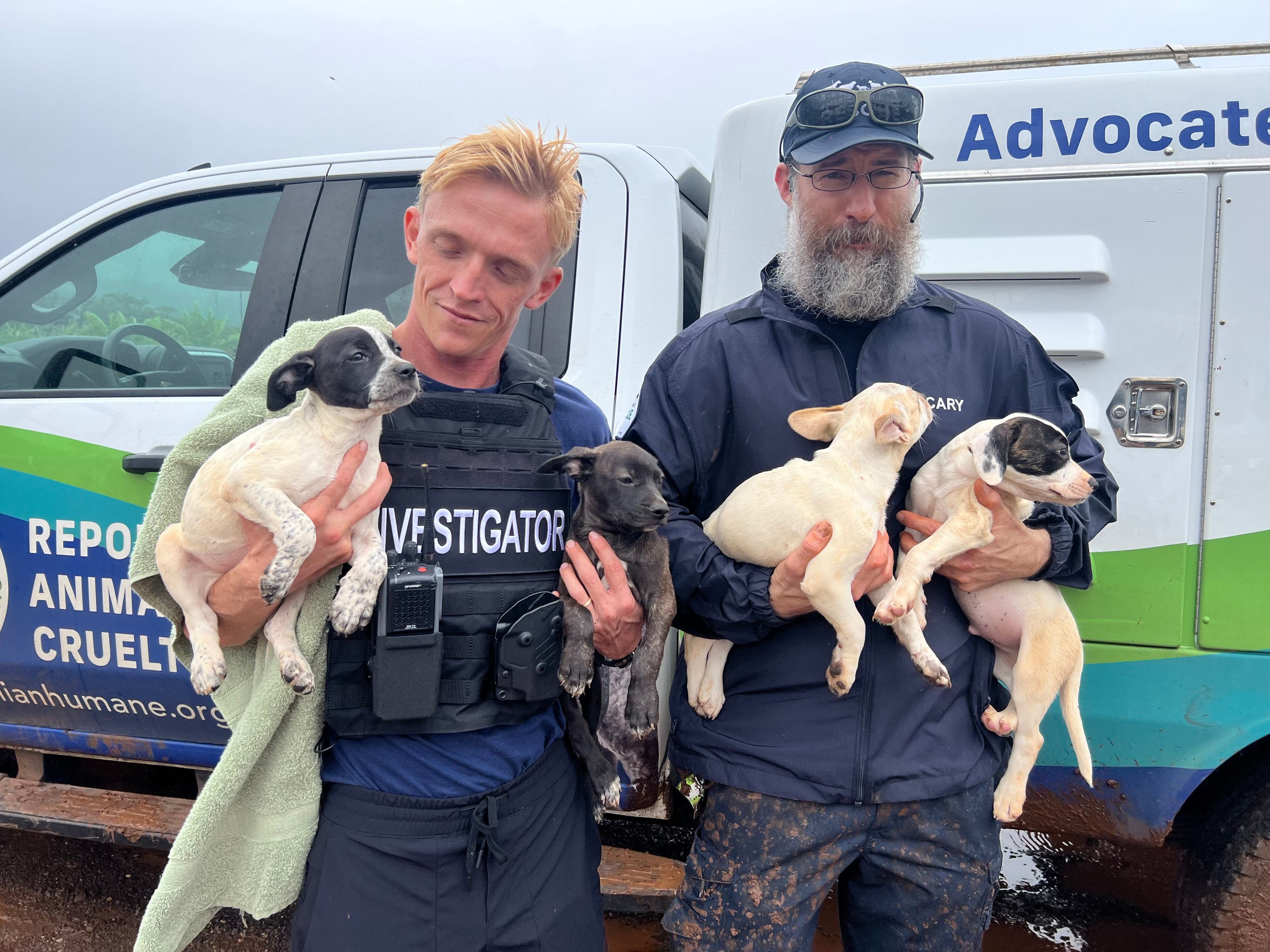 North Shore animal rescue saves, feeds pets