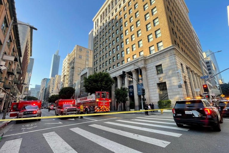 Downtown Los Angeles mass stabbing at Zaya restaurant sparked by fight ...