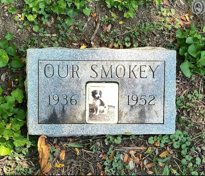 50 Portraits On Tombstones That Tell Stories Of Lives Once Lived