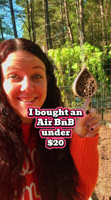 View of Gov. DeSantis fires back at Florida GOP sheriffs over immigration ...