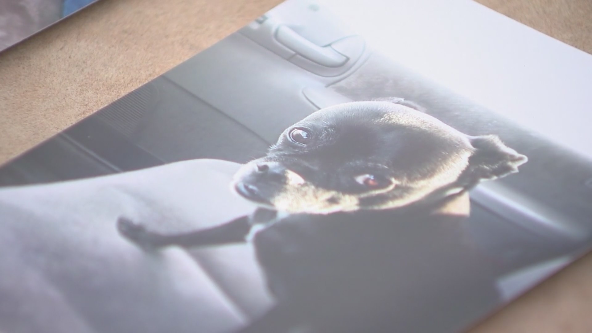 Repo Cars for Sale Near Me | Buy Bank Repo Cars Direct