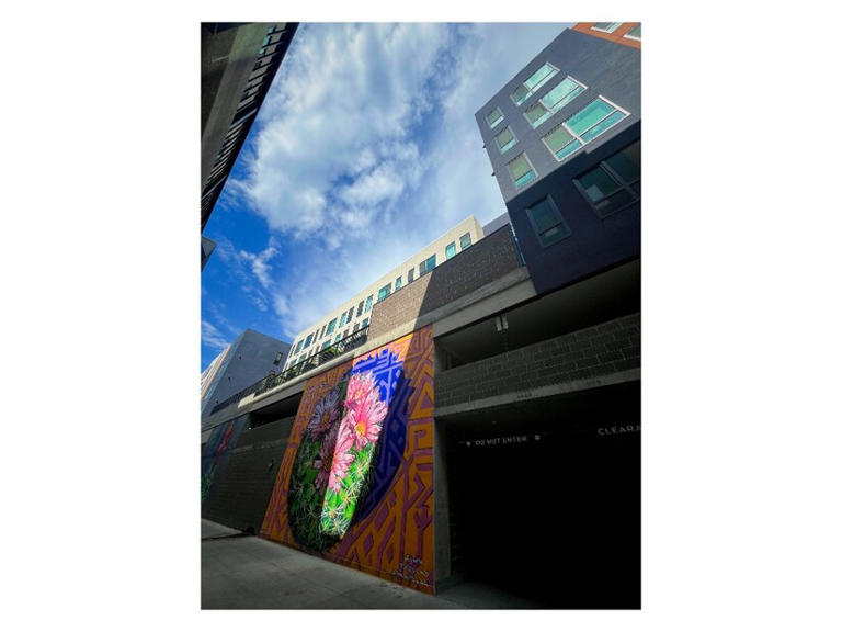 🌱 Patch AM: How Denver’s warm spell emptied a kids’ clothing nonprofit ...