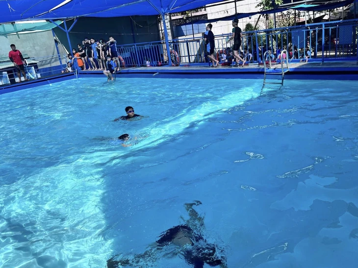 Phụ huynh bức xúc với phí cấp chứng nhận học bơi, trường nói gì?