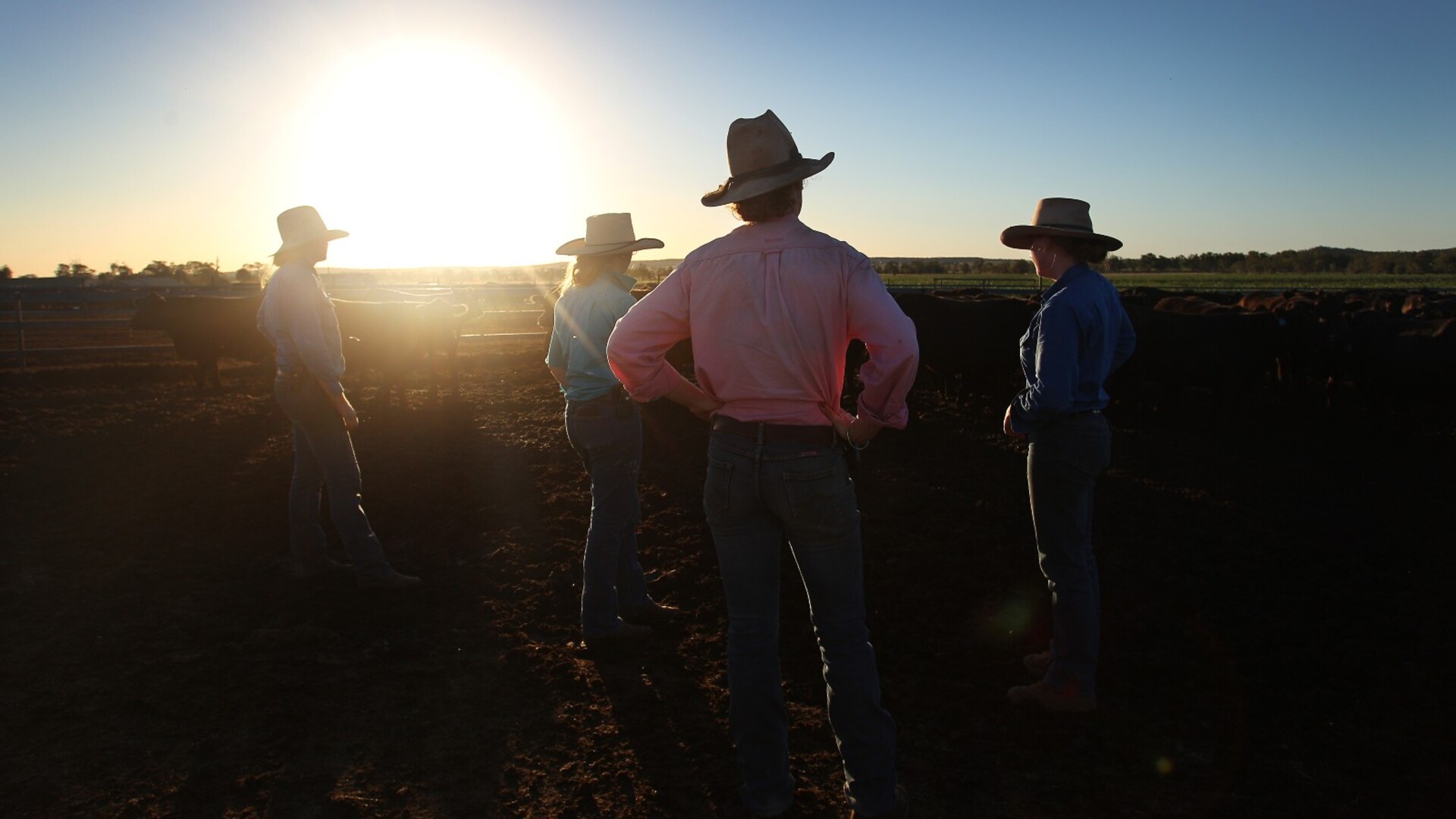 Australian farmers will pay the price of the EU free trade agreement ...