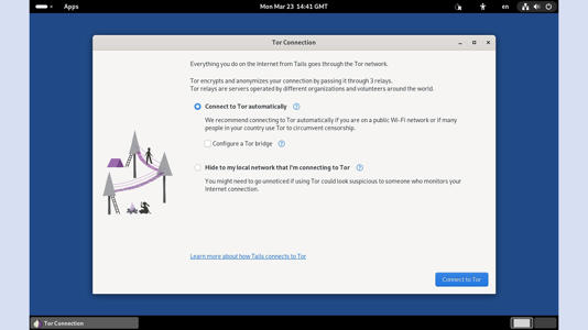 Tails will connect you to the Tor network right away.