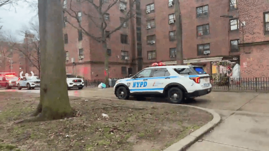 Teen shot to death inside NYCHA complex: NYPD<br>