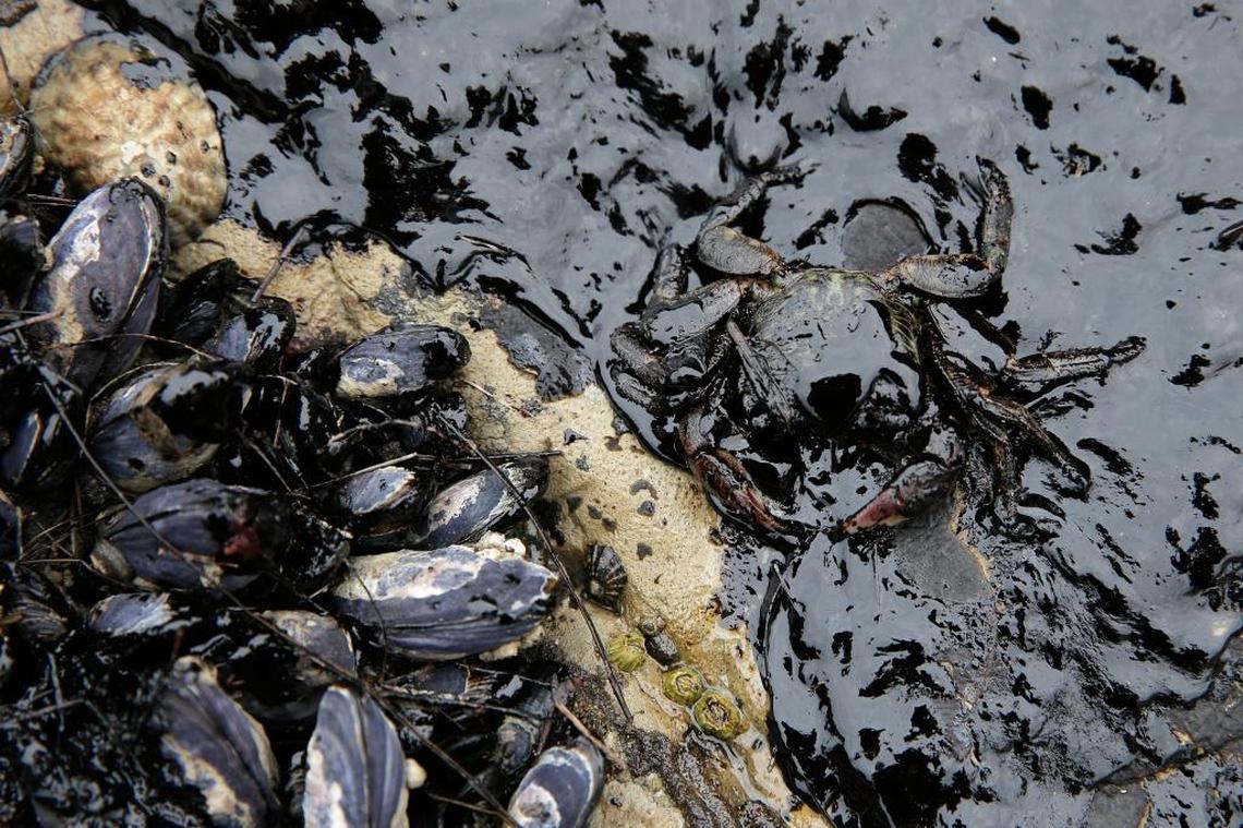 California sues feds over offshore oil drilling, latest in over 60 challenges<br>