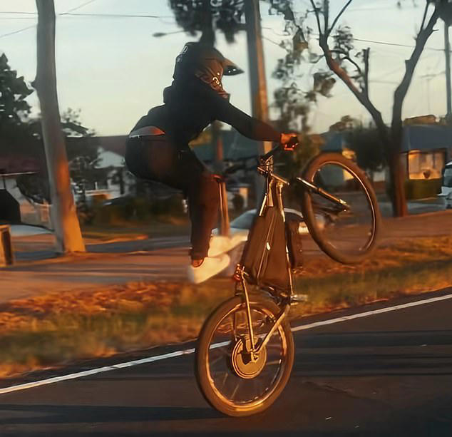 The tragedy comes as new laws allowing NSW Police and Transport for NSW to seize and crush illegally modified e-bikes are set to be introduced into parliament