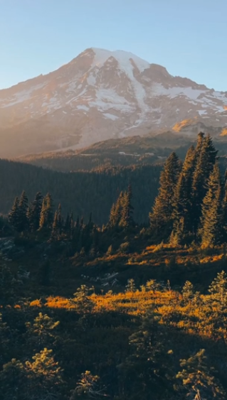 I found views that do not look real