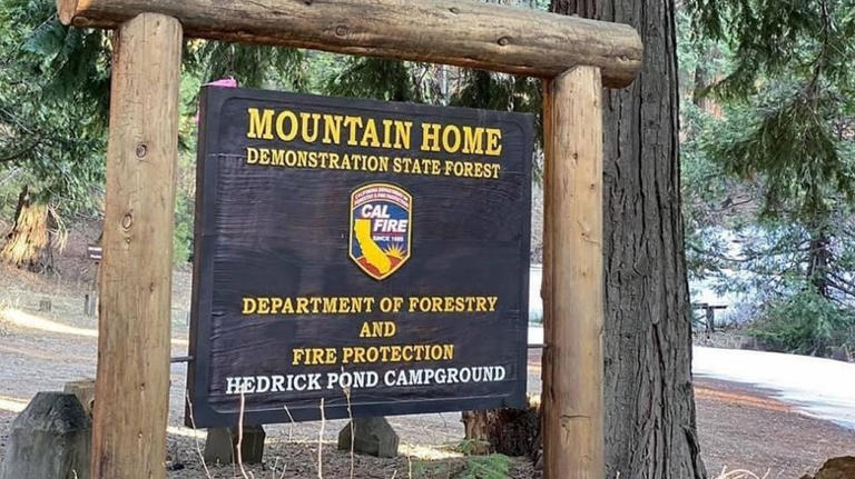 Forget Sequoia National Park, visit California's peaceful mountain ...