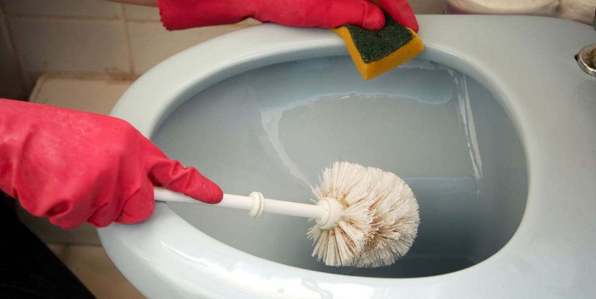 Your toilet brush is dirtier than you think – 5 mistakes you’re making ...