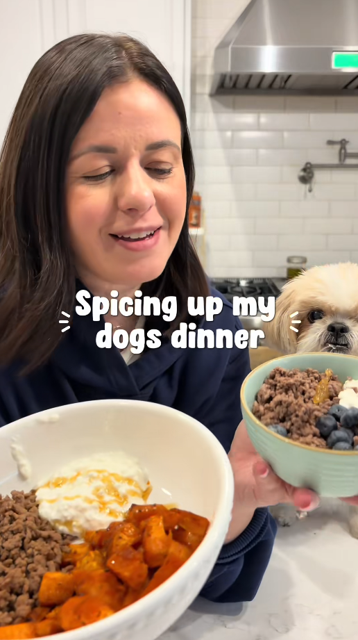 Healthy additions to upgrade dog meals
