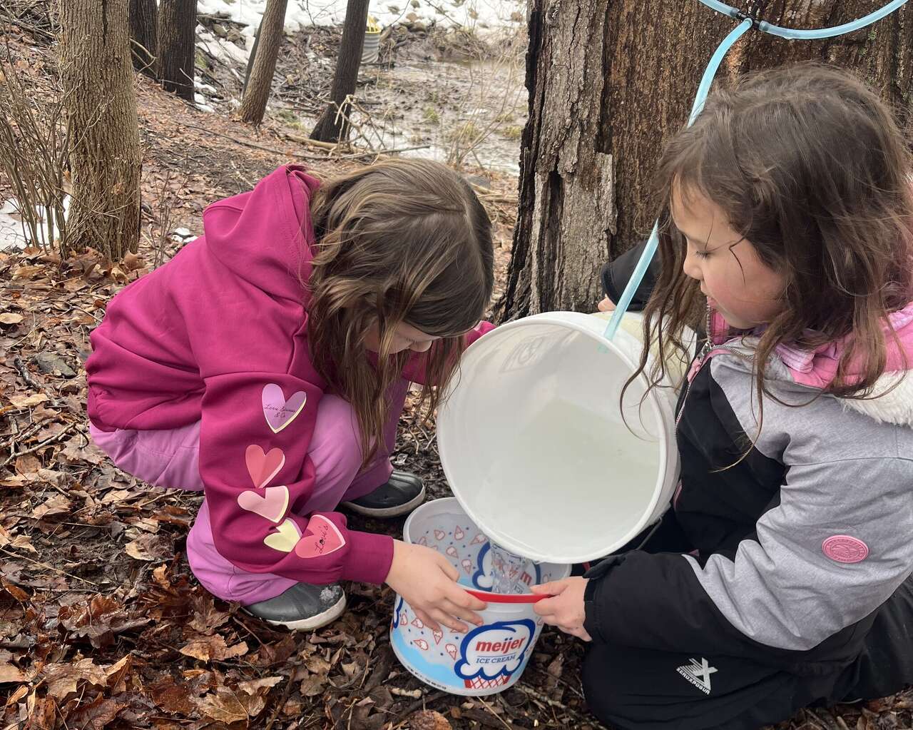 Onekama 2nd graders make maple syrup for class project