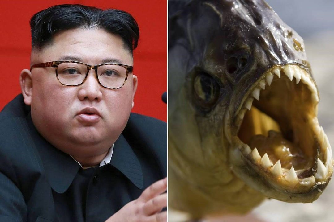 Report: Kim Jong-un Alleged Piranha Tank Execution