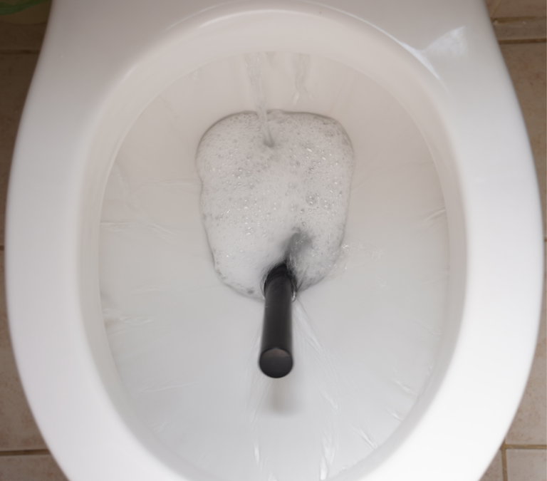 Your toilet brush is dirtier than you think – 5 mistakes you’re making ...