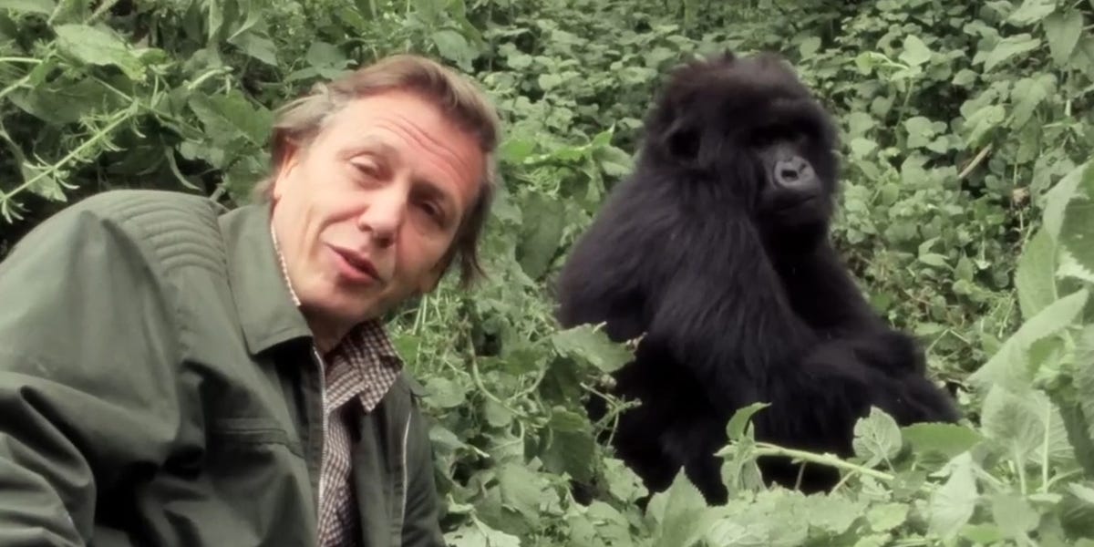 David Attenborough's 