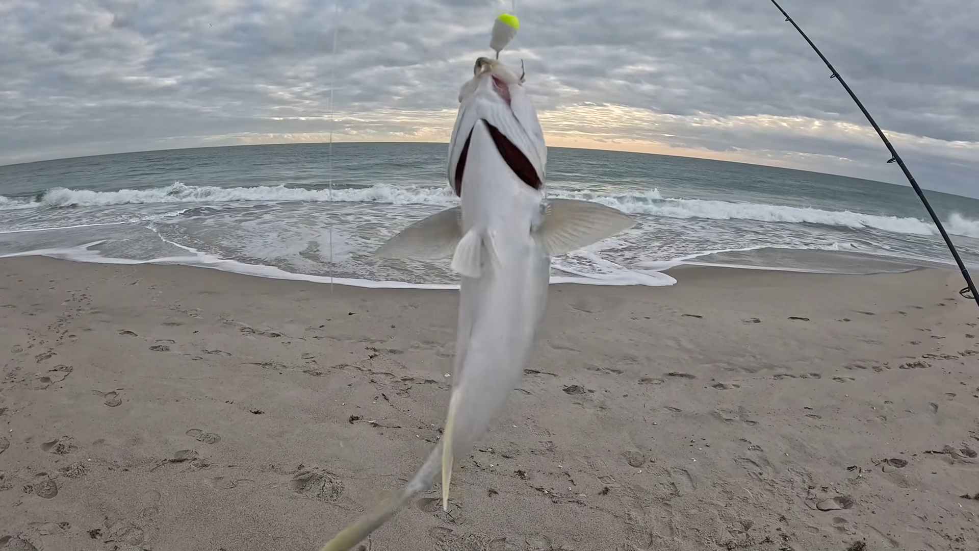 Fishing close to shore turns wild when everything starts biting at once