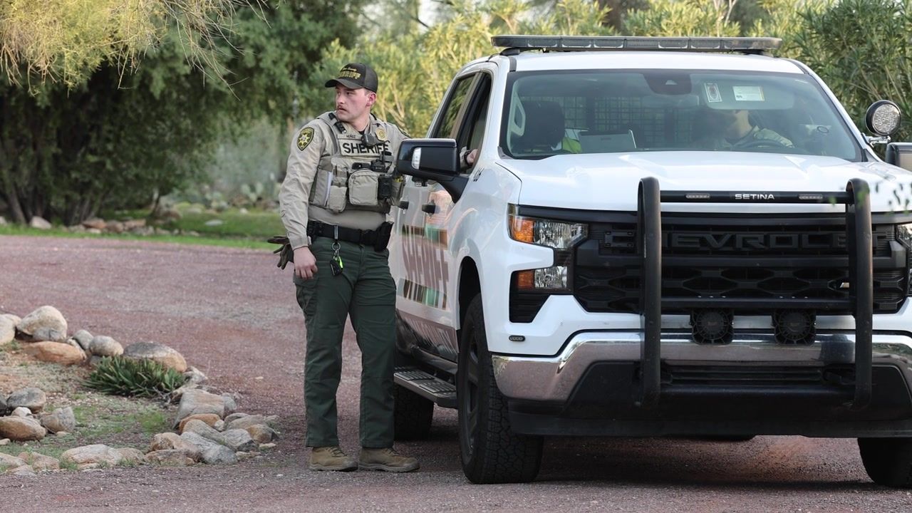 Nancy Guthrie sheriff's former boss explains why 'ground search was put ...