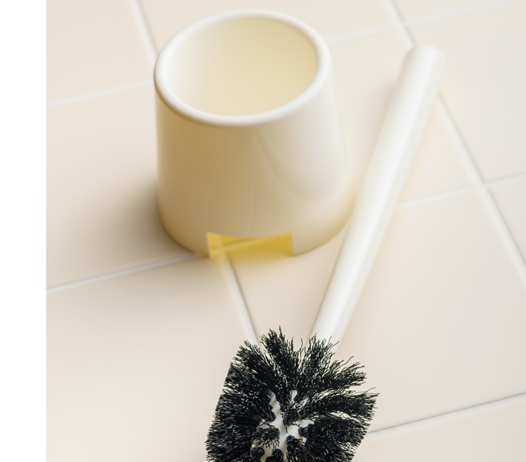 Your toilet brush is dirtier than you think – 5 mistakes you’re making ...