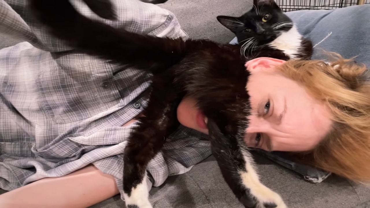 Cat adjusts position after lying on owner’s face in Los Angeles ...