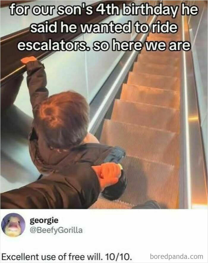 42 memes that hit harder if you’re fluent in sarcasm