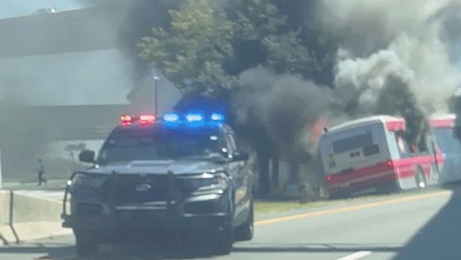 Terrifying scene as bus erupts in flames on side of expressway