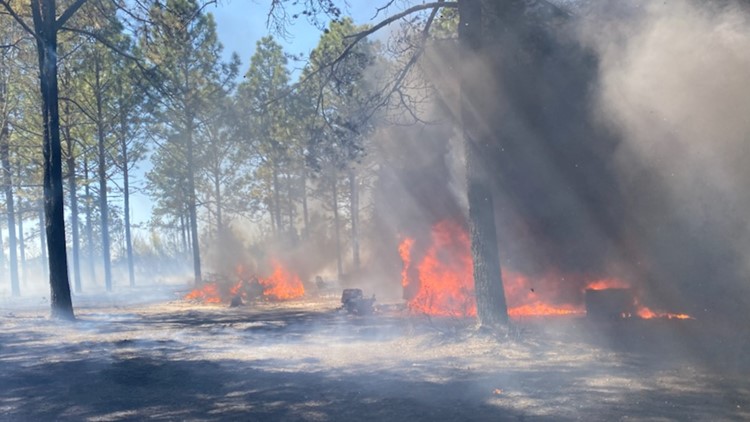 SC Forestry Commission issuing statewide red flag fire alert, effective ...