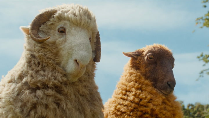 'The Sheep Detectives' trailer 2