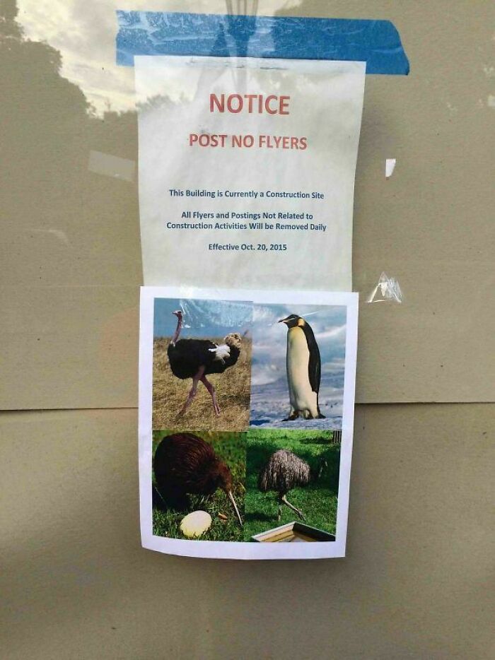 45 Ironic And Sarcastic Images For People With Great Sense Of Humor