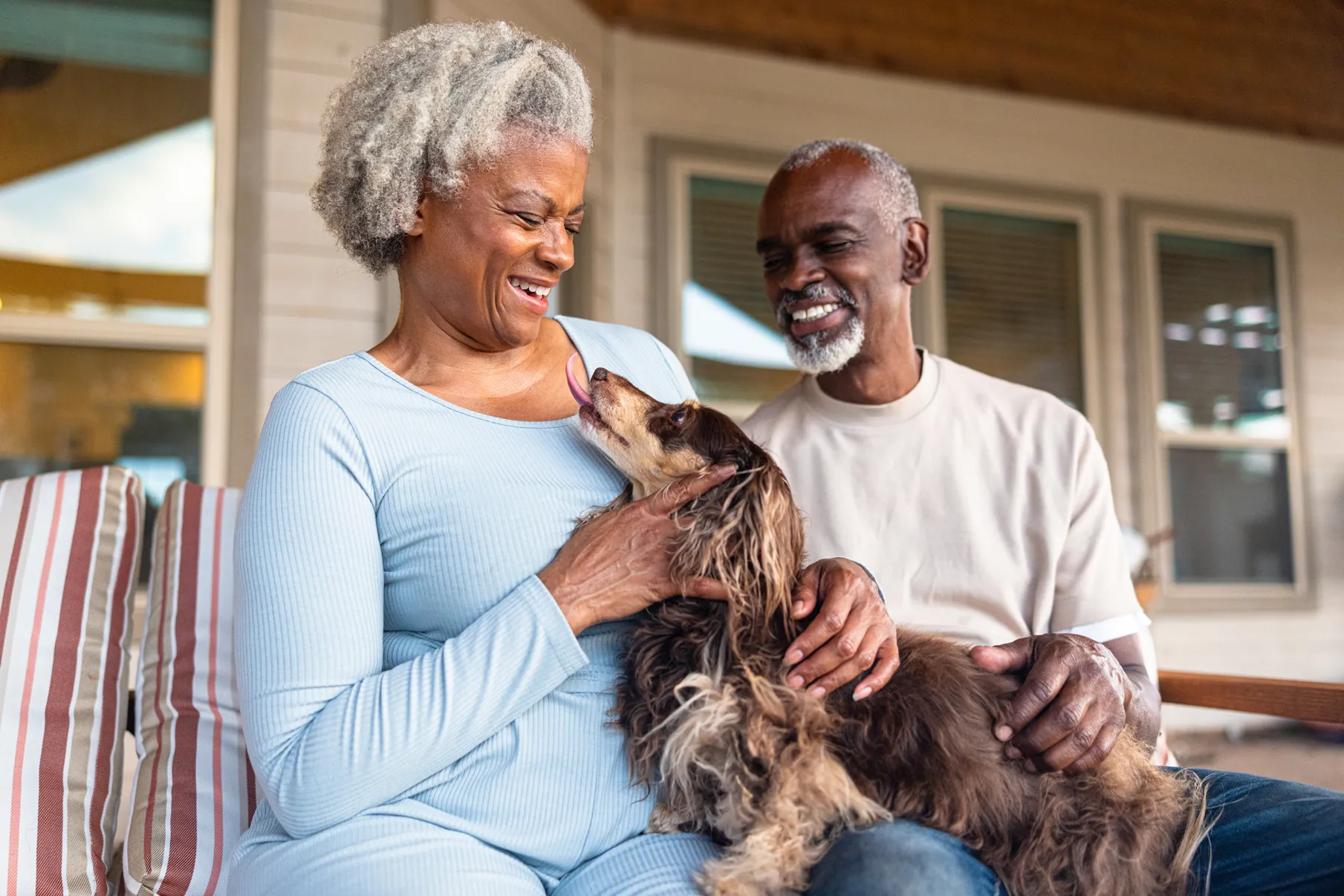 Are pet wellness plans worth the money? Here's what the data shows