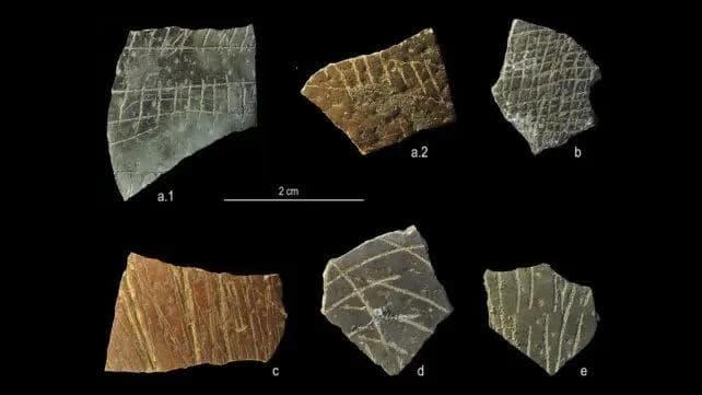 60,000-year-old ostrich eggshells reveal humanity’s first brush with ...