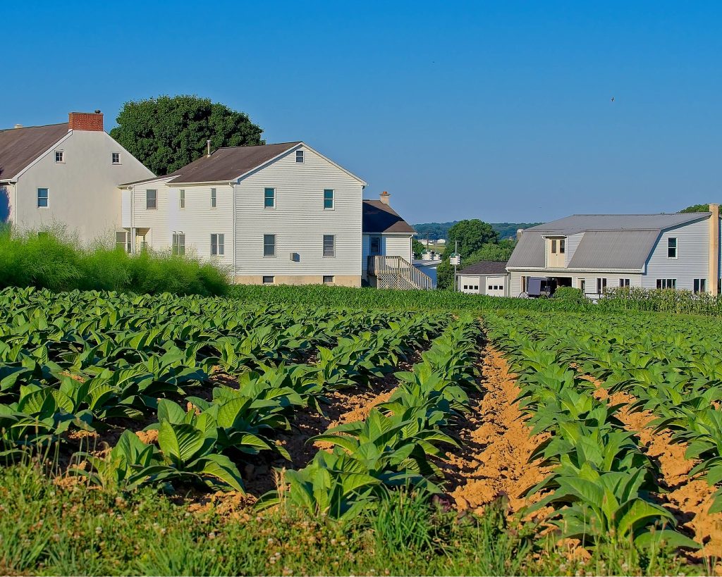 15 trendy farm stays and agritourism spots