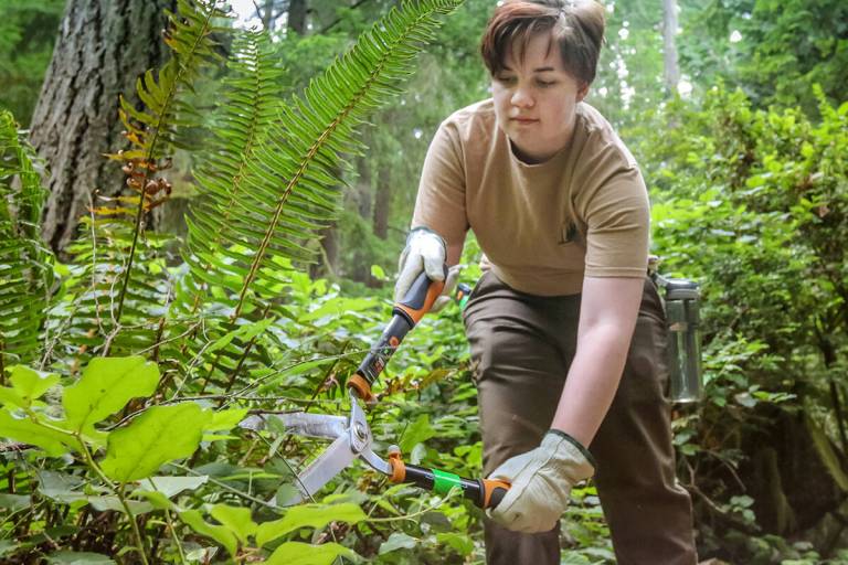 Student Conservation Corps, trails crew essential during summer