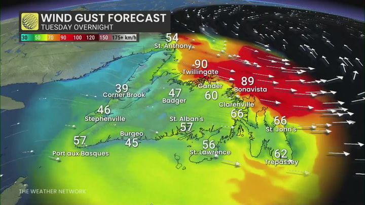 Major winter storm brings heavy snow & winds for Newfoundland